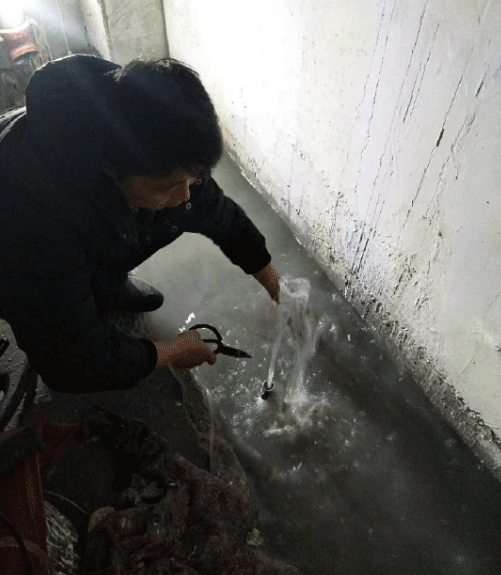 沧州新华区防水堵漏